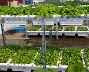 TOP 10 KỆ SẮT TRÊN THỊ TRƯỜNG VIỆT NAM