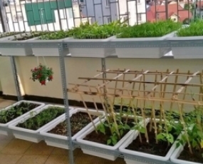 Kệ Trồng Rau Sạch 03
