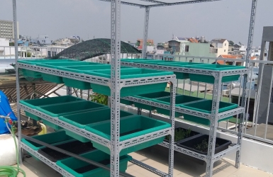 ĐA DẠNG SẢN PHẨM KỆ SẮT CHẤT LƯỢNG CAO  