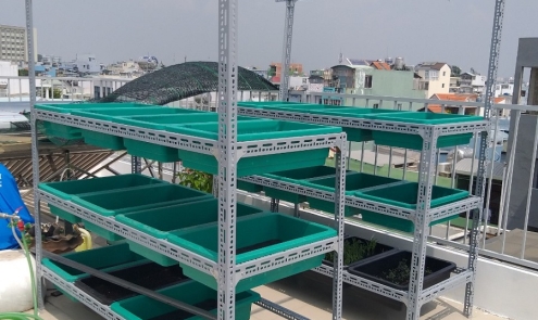 ĐA DẠNG SẢN PHẨM KỆ SẮT CHẤT LƯỢNG CAO  