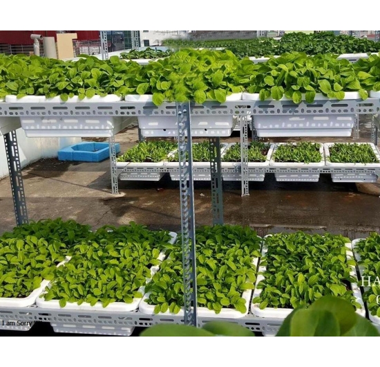 TOP 10 KỆ SẮT TRÊN THỊ TRƯỜNG VIỆT NAM