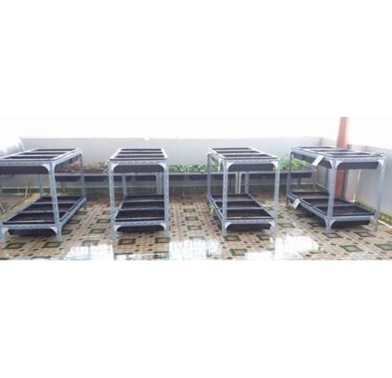 SỬ DỤNG KỆ SẮT ĐỂ TRỒNG RAU TẠI NHÀ TẠI SAO KHÔNG?